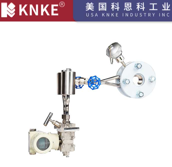 影响质量流量计测量精度的因素